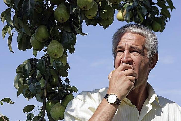 Груша для мужчин