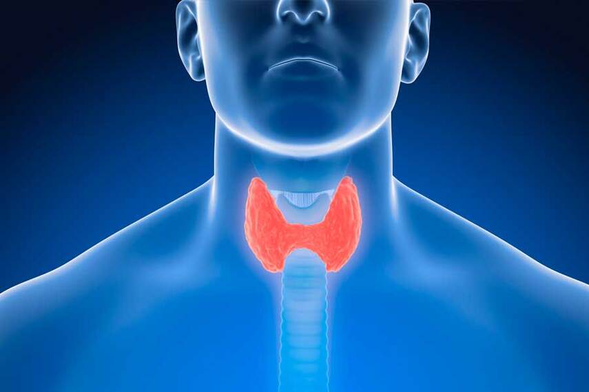 Йод и спорт