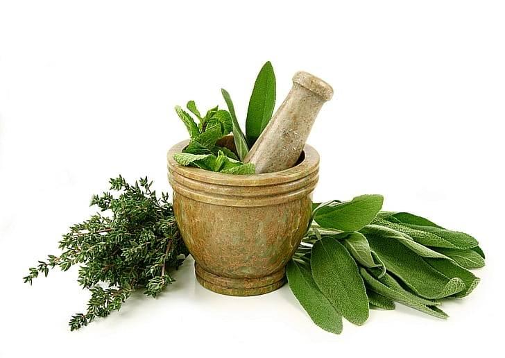 Травы для здоровья почек и печени