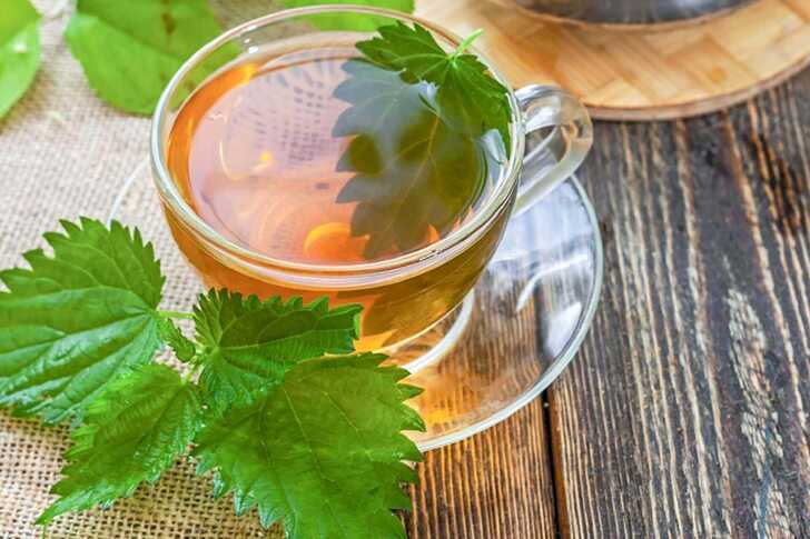 Пейте настой крапивы