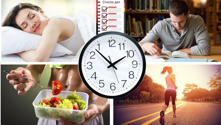 Режим сна и отдыха