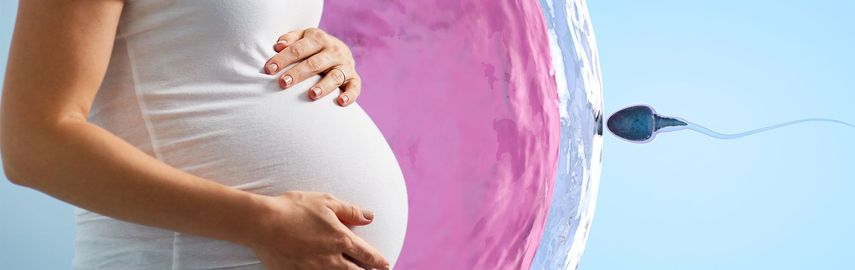 Как забеременеть при помощи ЭКО