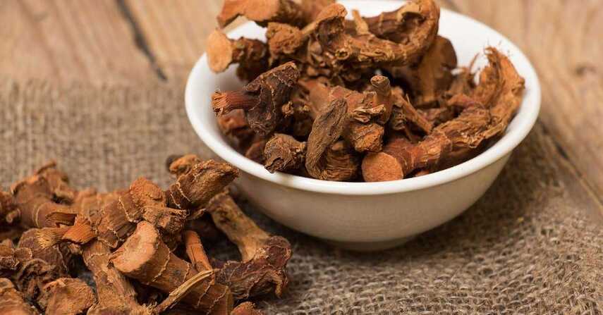 Польза калгана для организма