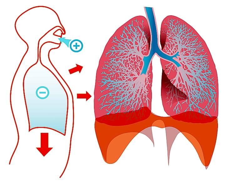 Вдыхание пара