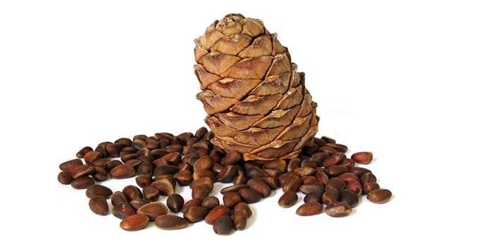 Кедровый орех