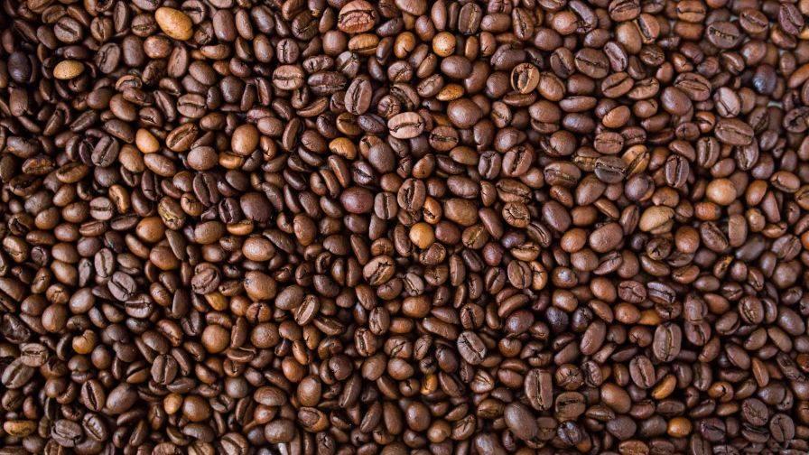 Крепкий кофе для ценителей – разные вариации насыщенной обжарки зерен и молоко в качестве добавки