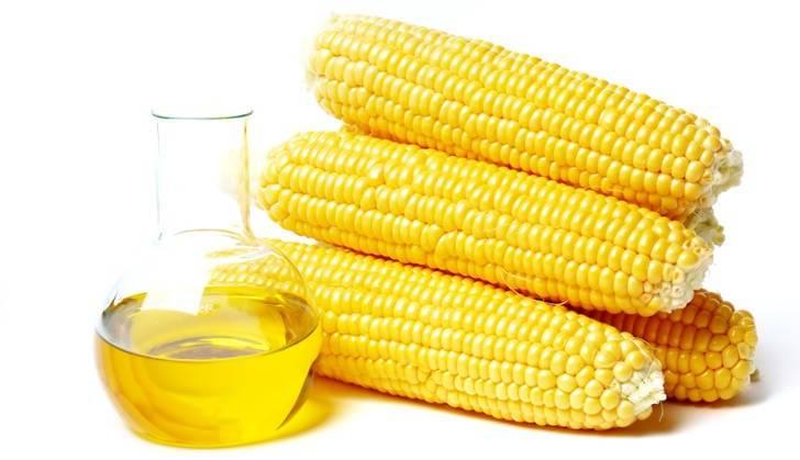 Кукурузное масло – 10 полезных свойств и противопоказания