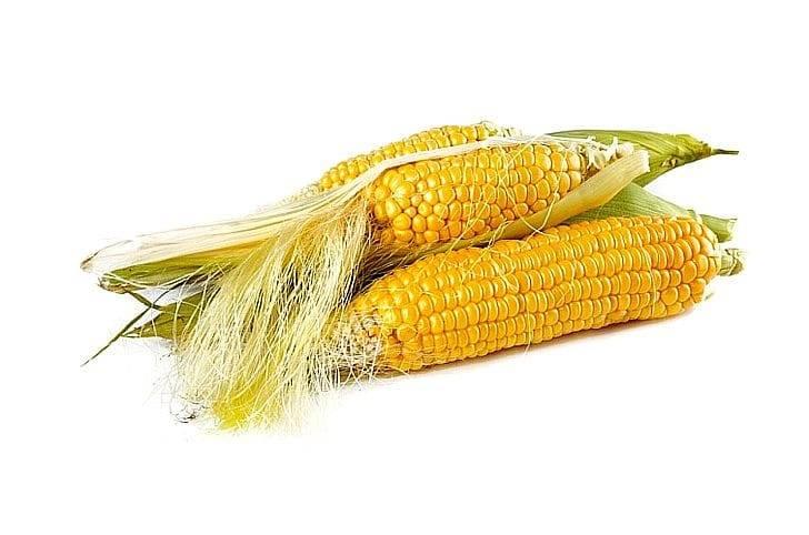 Кукурузные рыльца: 13 лечебных свойств, рецепты применения и противопоказания