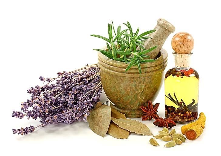 Лечебные травы при артрите