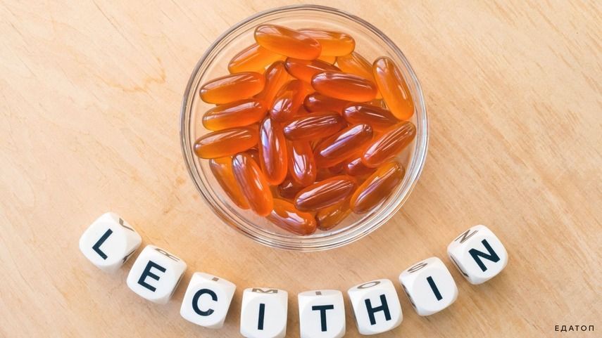 Полезные свойства лецитина для организма