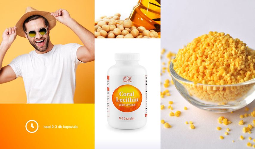 Лецитин для различных групп людей