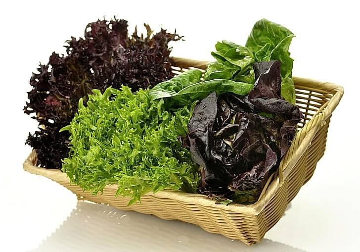 Листовая зелень