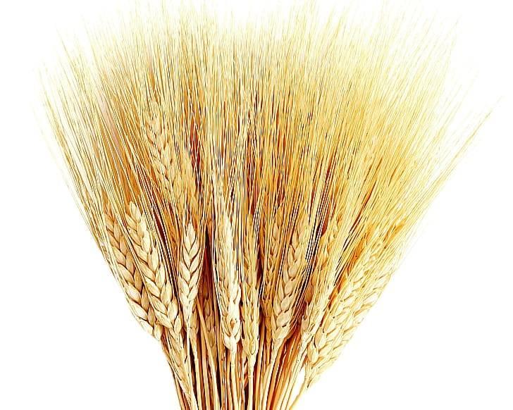 Цельные зерна - продукты, насыщенные магнием