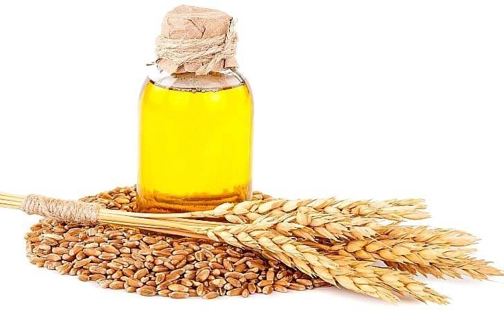 Масло зародышей пшеницы — 10 полезных свойств и применение