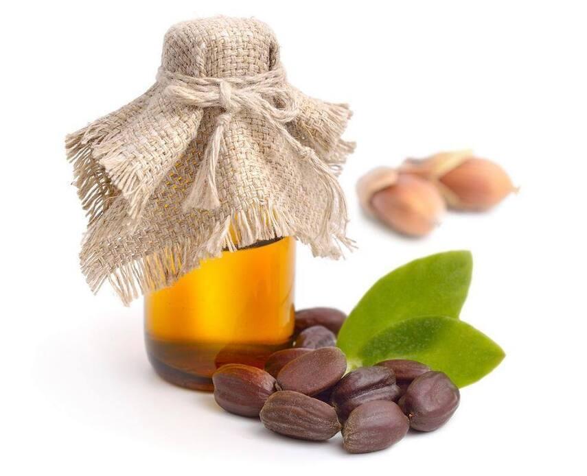 Полезные свойства масла жожоба