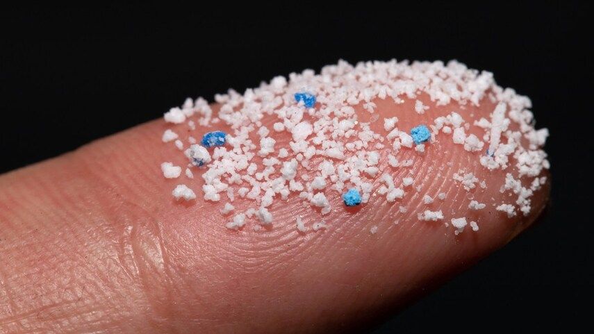 Влияние микропластика на здоровье