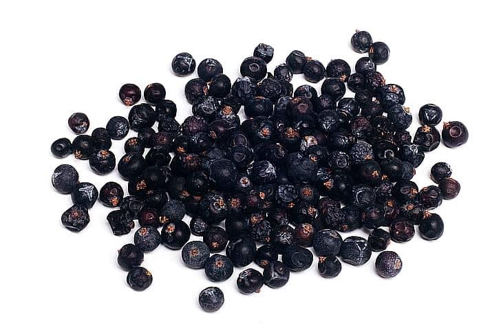 Можжевельник