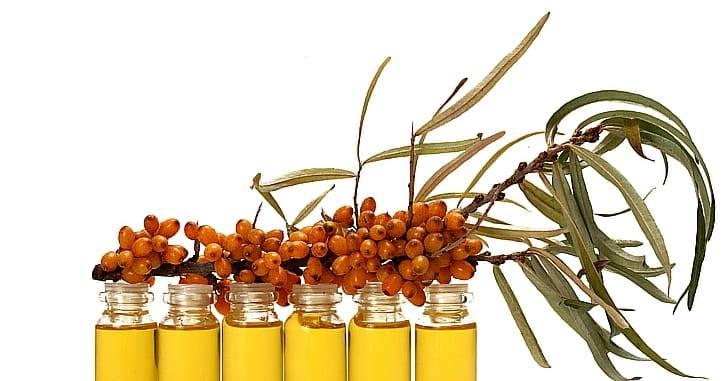 Облепиховое маслов в народной медицине