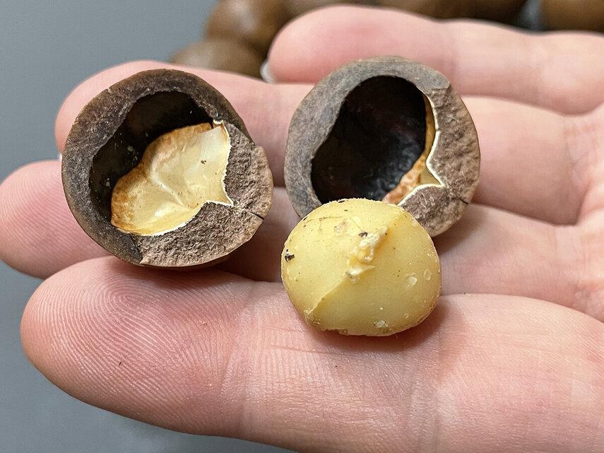 Возможный вред и противопоказания