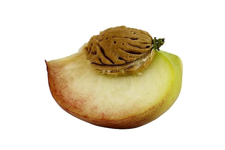 Косточки персика