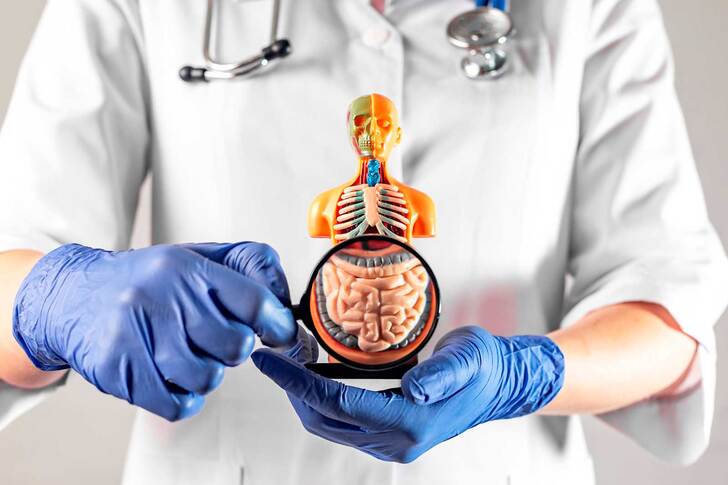 Рекомендации по уходу за кишечником