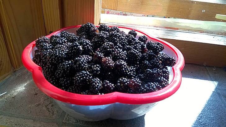 Общеукрепляющее средство