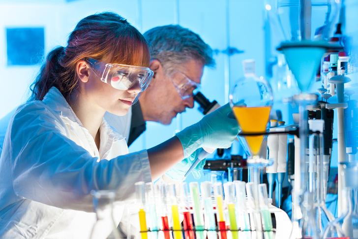 несколько научных исследований