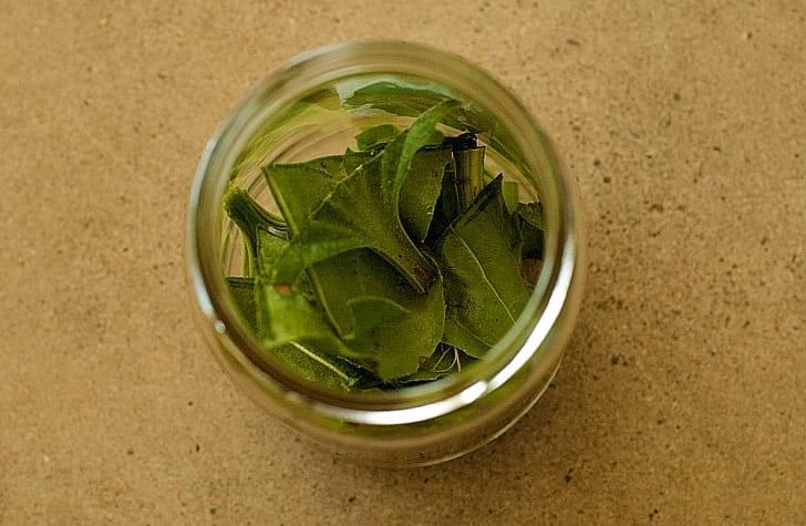 Примочка из свежих листьев