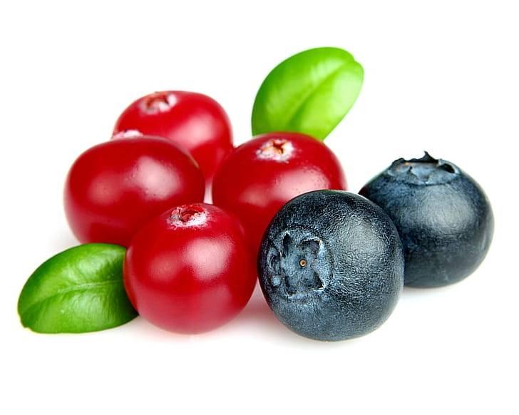 Черника и клюква