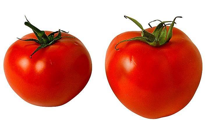 Помидоры