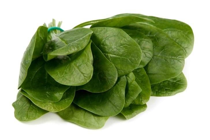 Шпинат
