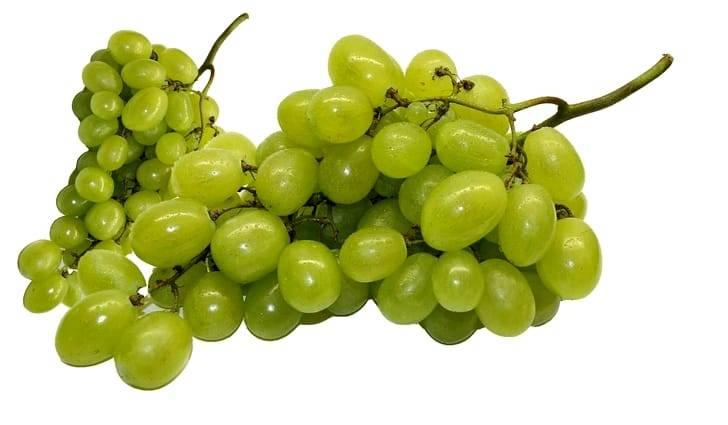 Виноград