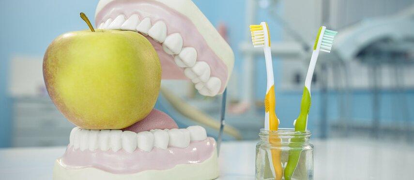 Продукты, полезные для эмали зубов