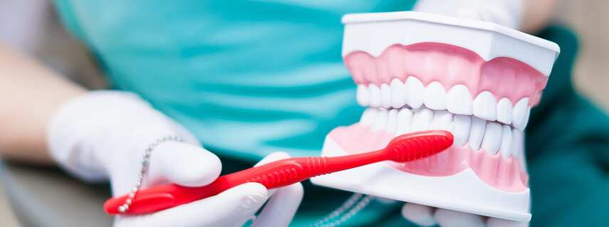 Продукты, способствующие профилактике кариеса