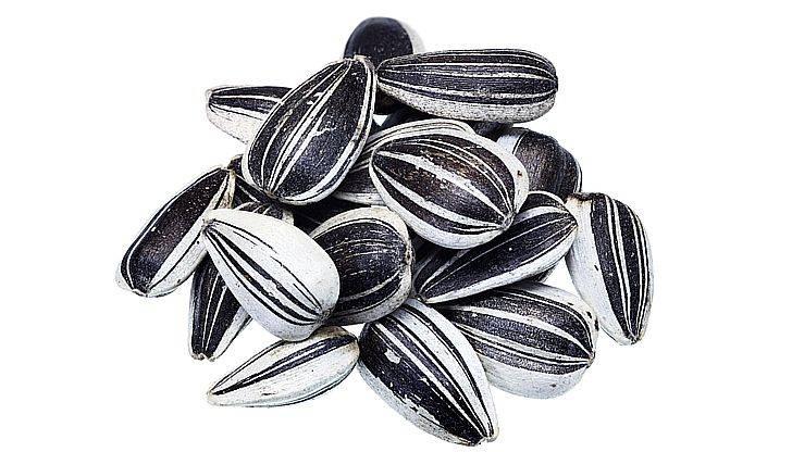 Семена подсолнечника