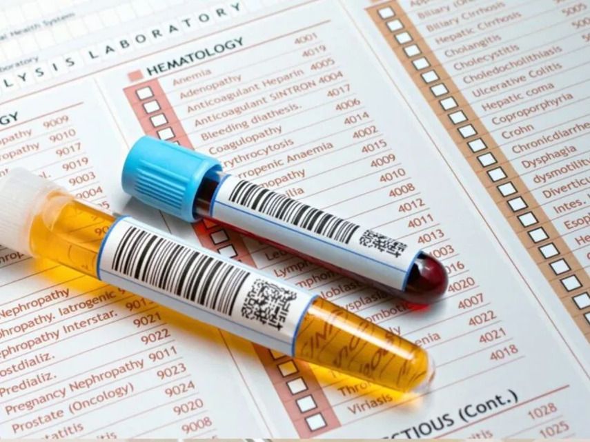 Методы и инструменты работы диетолога