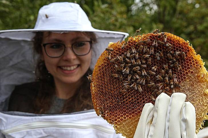 Побочные эффекты прополиса