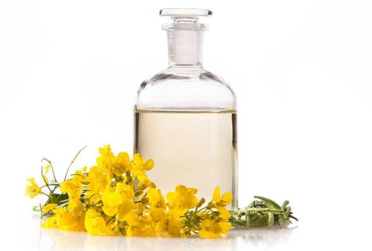Рапсовое масло – 10 полезных свойств, противопоказания и применение
