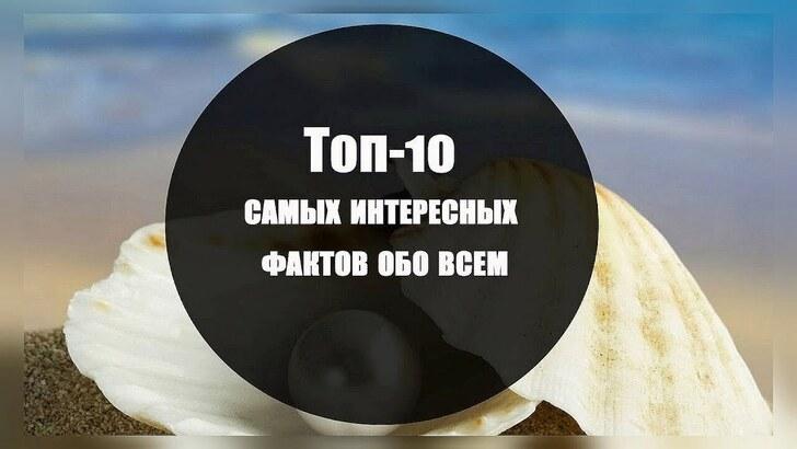 10 интересных фактов о хеке