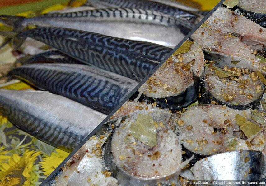 В каком виде скумбрия наиболее полезна