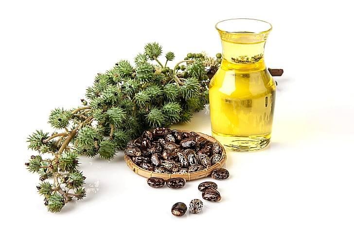 Касторовое масло