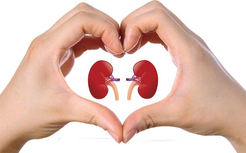 Топ-10 продуктов полезных для почек