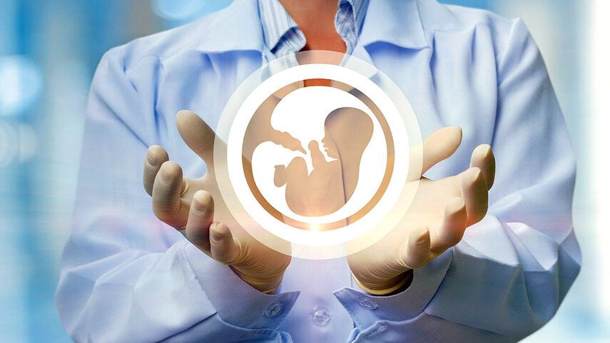 Осознанное планирование: как сохранить фертильность на будущее