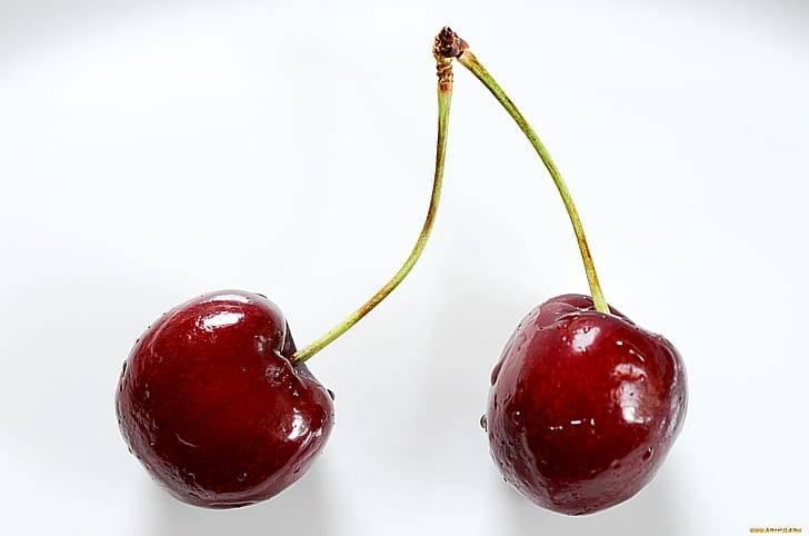 Плодоножки