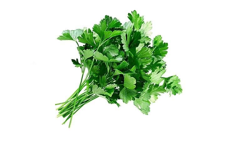 Петрушка (11% дневной нормы)