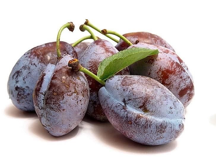 Сливы какаду (530% дневной нормы)