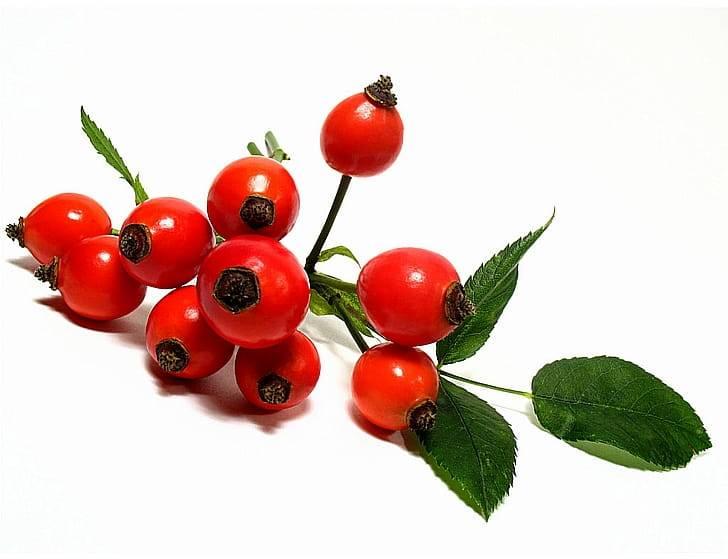 Шиповник (132% дневной нормы)