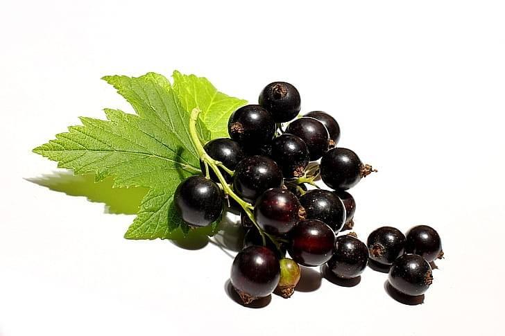 Черная смородина (112% дневной нормы)