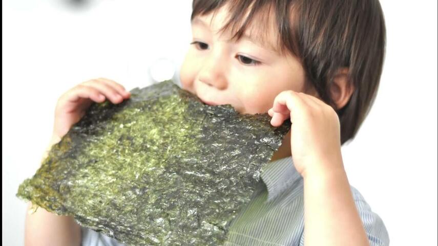 Чем полезны водоросли нори: разбор от эндокринолога