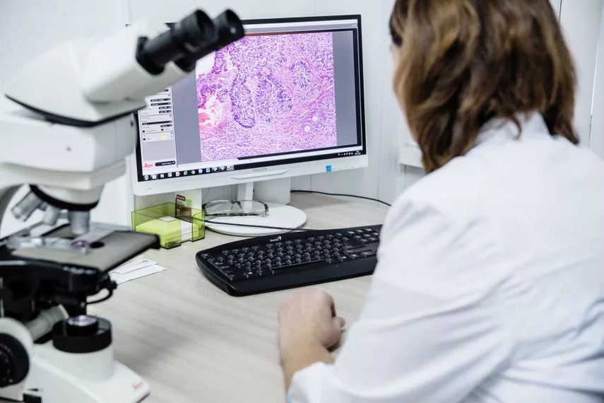 Значение гистологии в медицине